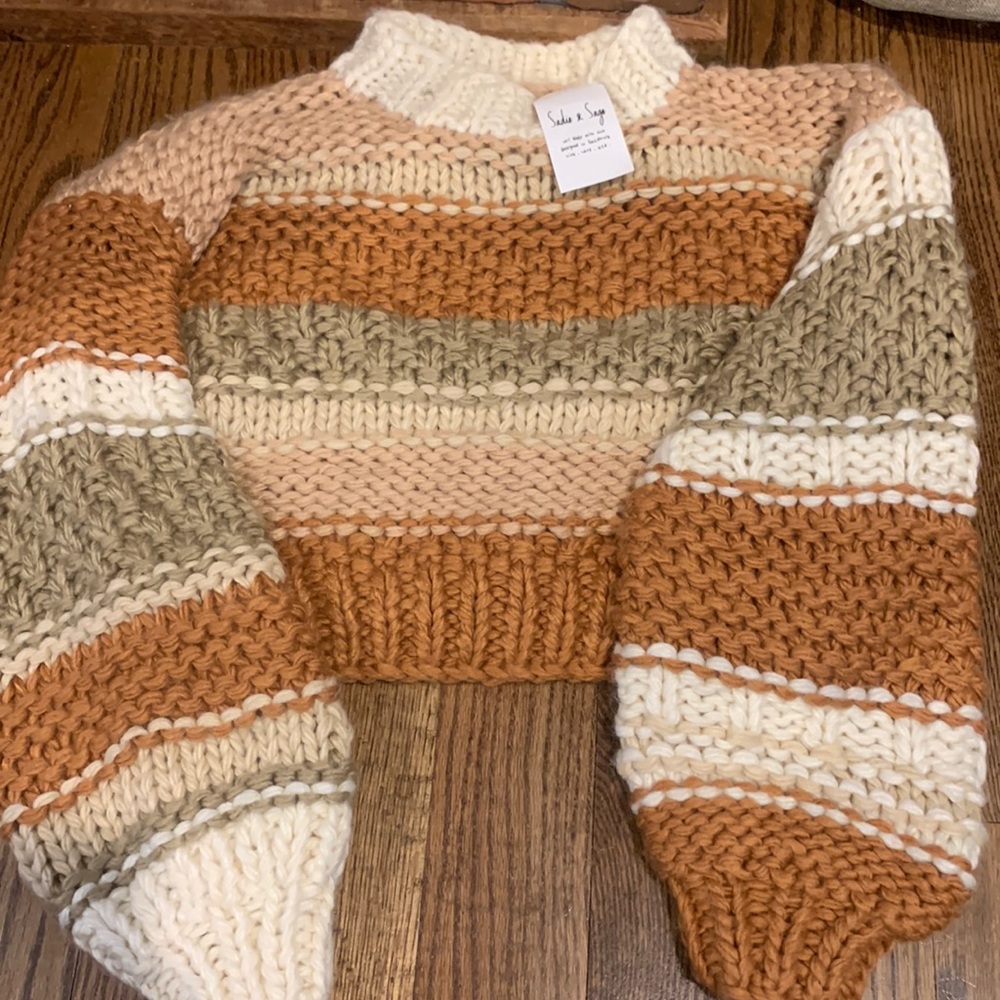 Sadie and sage multi color sweater